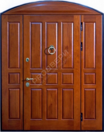 Фотография «Парадная дверь №238»